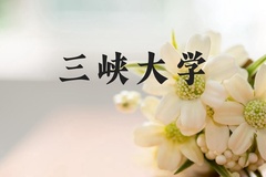 三峡大学近三年在河北录取分数线(含2022-2024最低分)