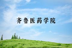 齐鲁医药学院近三年在河北录取分数线(含2022-2024最低分)