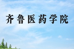 齐鲁医药学院近三年在河北录取分数线(含2022-2024最低分)