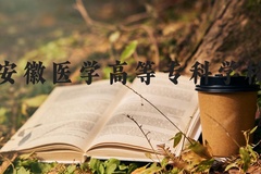 安徽医学高等专科学校近三年在河北录取分数线(含2022-2024最低分)