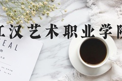 江汉艺术职业学院近三年在河北录取分数线(含2022-2024最低分)