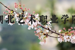 湖北艺术职业学院近三年在河北录取分数线(含2022-2024最低分)