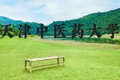 天津中医药大学近三年在河北录取分数线(含2022-2024最低分)