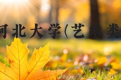河北大学(艺术类)近三年在河北录取分数线(含2022-2024最低分)