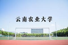 云南农业大学近三年在河北录取分数线(含2022-2024最低分)