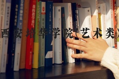 西安培华学院(艺术类)近三年在河北录取分数线(含2022-2024最低分)