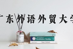 广东外语外贸大学近三年在河北录取分数线(含2022-2024最低分)