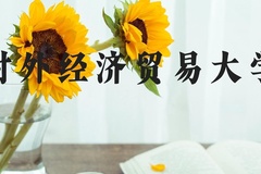 对外经济贸易大学近三年在河北录取分数线(含2022-2024最低分)