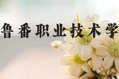 吐鲁番职业技术学院近三年在河北录取分数线(含2022-2024最低分)