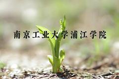 南京工业大学浦江学院近三年在河北录取分数线(含2022-2024最低分)