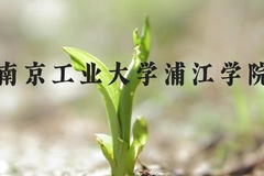 南京工业大学浦江学院近三年在河北录取分数线(含2022-2024最低分)