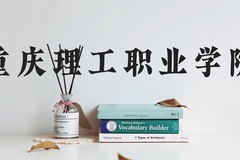 重庆理工职业学院近三年在河北录取分数线(含2022-2024最低分)