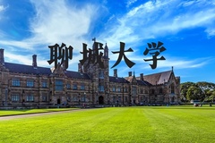 聊城大学近三年在河北录取分数线(含2022-2024最低分)