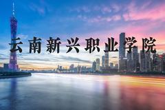 云南新兴职业学院近三年在河北录取分数线(含2022-2024最低分)