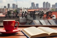 武汉传媒学院近三年在河北录取分数线(含2022-2024最低分)