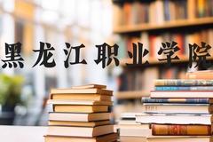 黑龙江职业学院近三年在河北录取分数线(含2022-2024最低分)