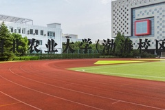 河北农业大学(渤海校区)近三年在河北录取分数线(含2022-2024最低分)