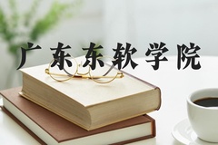 广东东软学院近三年在河北录取分数线(含2022-2024最低分)