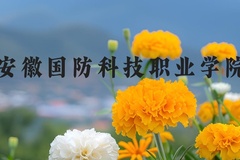 安徽国防科技职业学院近三年在河北录取分数线(含2022-2024最低分)