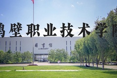 鹤壁职业技术学院近三年在河北录取分数线(含2022-2024最低分)