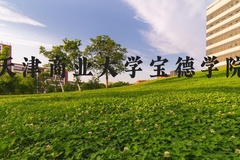 天津商业大学宝德学院近三年在河北录取分数线(含2022-2024最低分)