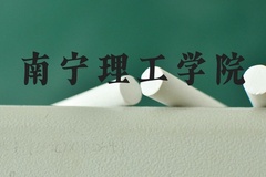 南宁理工学院近三年在河北录取分数线(含2022-2024最低分)