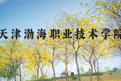 天津渤海职业技术学院近三年在河北录取分数线(含2022-2024最低分)