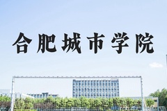 合肥城市学院近三年在河北录取分数线(含2022-2024最低分)