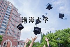 渤海大学近三年在河北录取分数线(含2022-2024最低分)