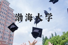 渤海大学近三年在河北录取分数线(含2022-2024最低分)