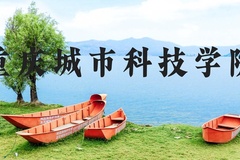 重庆城市科技学院近三年在河北录取分数线(含2022-2024最低分)