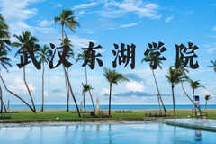 武汉东湖学院近三年在河北录取分数线(含2022-2024最低分)