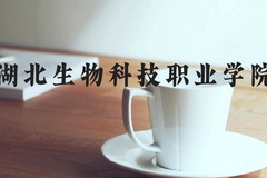 湖北生物科技职业学院近三年在河北录取分数线(含2022-2024最低分)