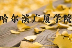 哈尔滨广厦学院近三年在河北录取分数线(含2022-2024最低分)
