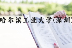 哈尔滨工业大学(深圳)近三年在河北录取分数线(含2022-2024最低分)
