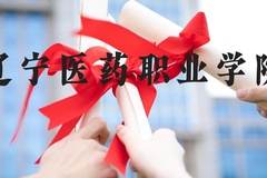 辽宁医药职业学院近三年在河北录取分数线(含2022-2024最低分)
