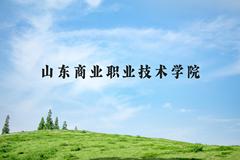 山东商业职业技术学院近三年在河北录取分数线(含2022-2024最低分)