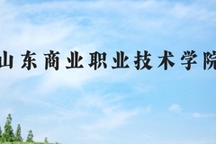 山东商业职业技术学院近三年在河北录取分数线(含2022-2024最低分)