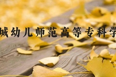 盐城幼儿师范高等专科学校近三年在河北录取分数线(含2022-2024最低分)