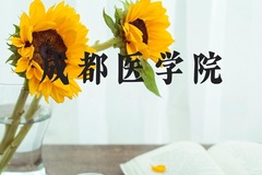 成都医学院近三年在河北录取分数线(含2022-2024最低分)