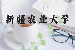 新疆农业大学近三年在河北录取分数线(含2022-2024最低分)