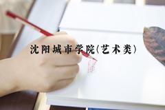 沈阳城市学院(艺术类)近三年在河北录取分数线(含2022-2024最低分)