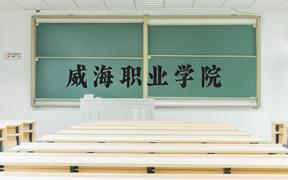 威海职业学院近三年在河北录取分数线(含2022-2024最低分)