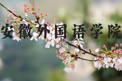 安徽外国语学院近三年在河北录取分数线(含2022-2024最低分)
