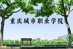 重庆城市职业学院近三年在河北录取分数线(含2022-2024最低分)