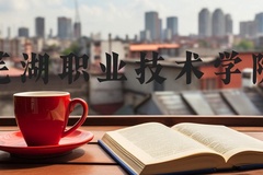 芜湖职业技术学院近三年在河北录取分数线(含2022-2024最低分)