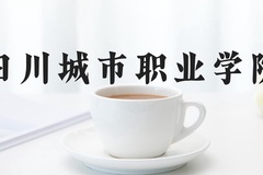 四川城市职业学院近三年在河北录取分数线(含2022-2024最低分)