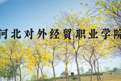 河北对外经贸职业学院近三年在河北录取分数线(含2022-2024最低分)