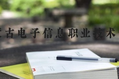 内蒙古电子信息职业技术学院近三年在河北录取分数线(含2022-2024最低分)