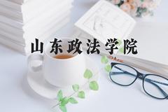 山东政法学院近三年在河北录取分数线(含2022-2024最低分)